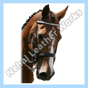 Horse Browbands